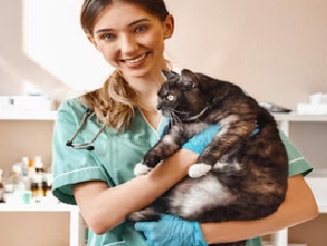 Consulta Veterinária
