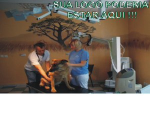Pet Diniz